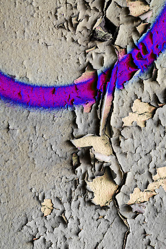 Fotomotiv welches an abstrakte Fotografie erinnert, Bildtitel: Das Kaninchen schießt zurück